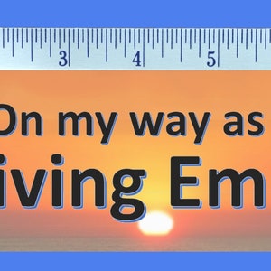 Thriving Empath Combo Pack with book optional plus bookmarks, stickers, and fridge magnet image 5