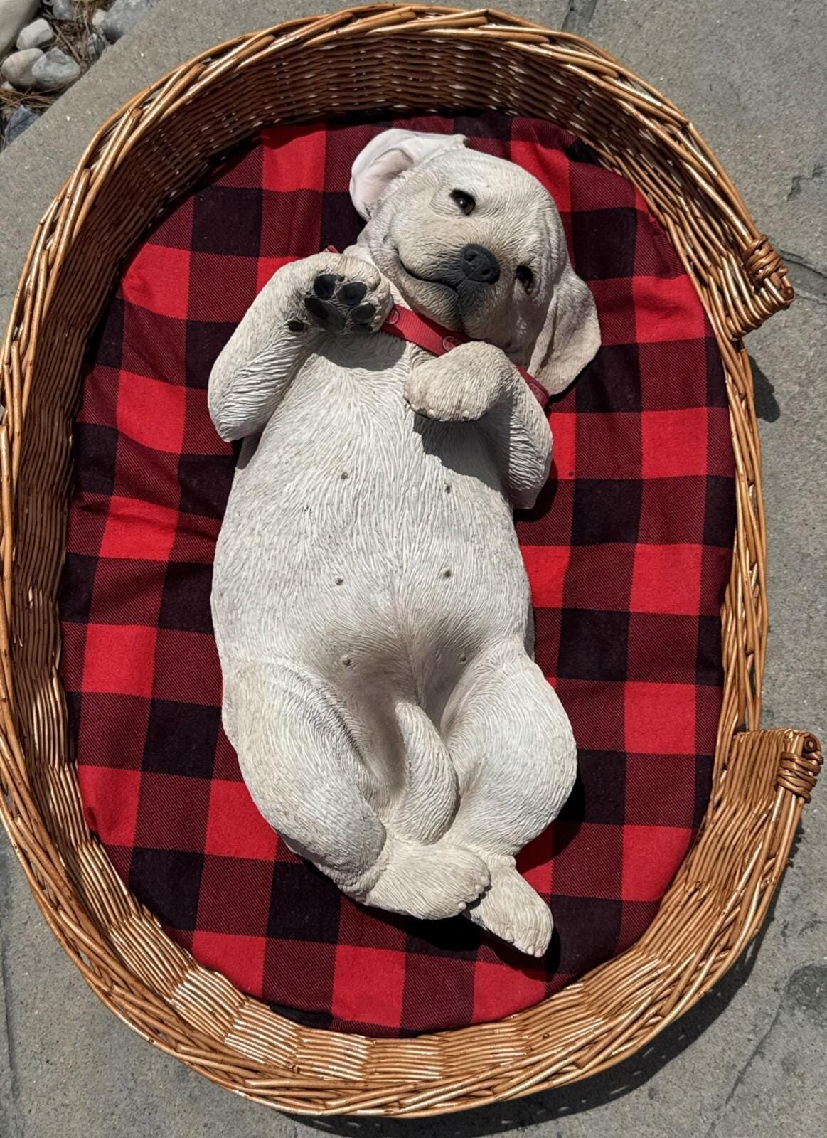 Sandicast dogs - Etsy 日本