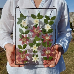 Großer gepresster Blumenrahmen, echte gepresste botanische Pflanzen, Wanddekoration, botanische Kunst, getrocknete Blumen, Herbarium