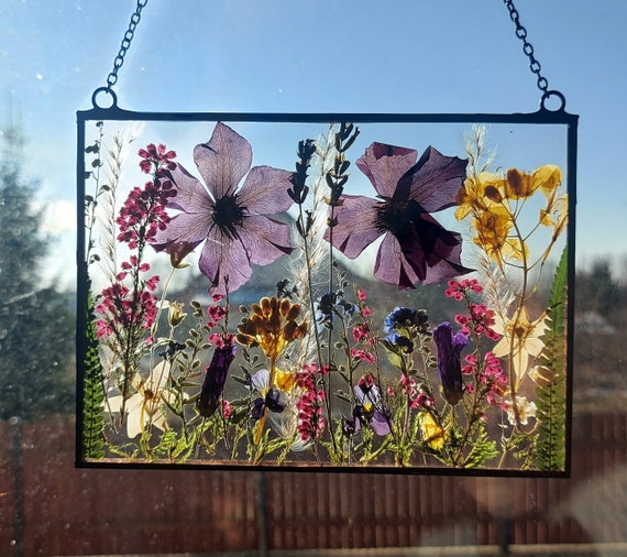 Hanging Glass Decor, Stained Glass Frame, Pressed Flower Frame, Pressed  Plant Frame, Flower Hanging 
