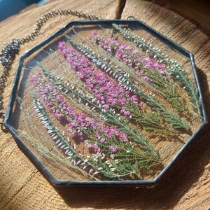 Barydat 12 Stück Gepresste Blumen Glasrahmen – 12,7x17,8 Cm, Doppelglas, Silberne Kette, Zum Aufhängen