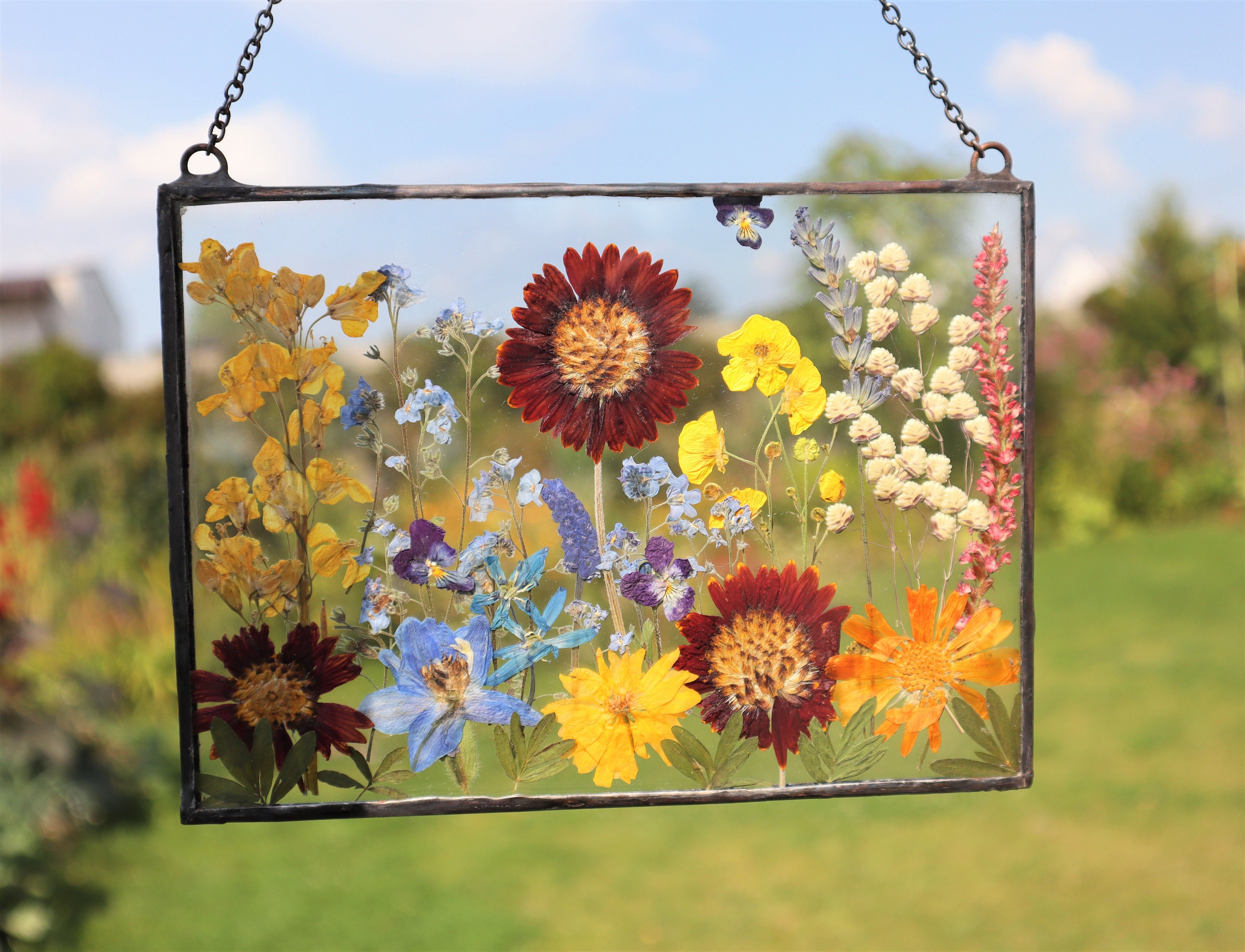 Framing Pressed Flowers Between Glass - Happy Happy Nester