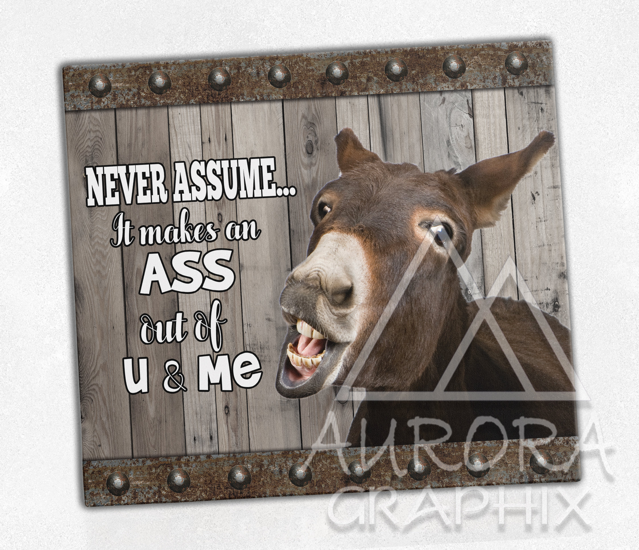 Donkey - Digital 20oz Skinny Tumbler Wrap Funny Never Assume Quote