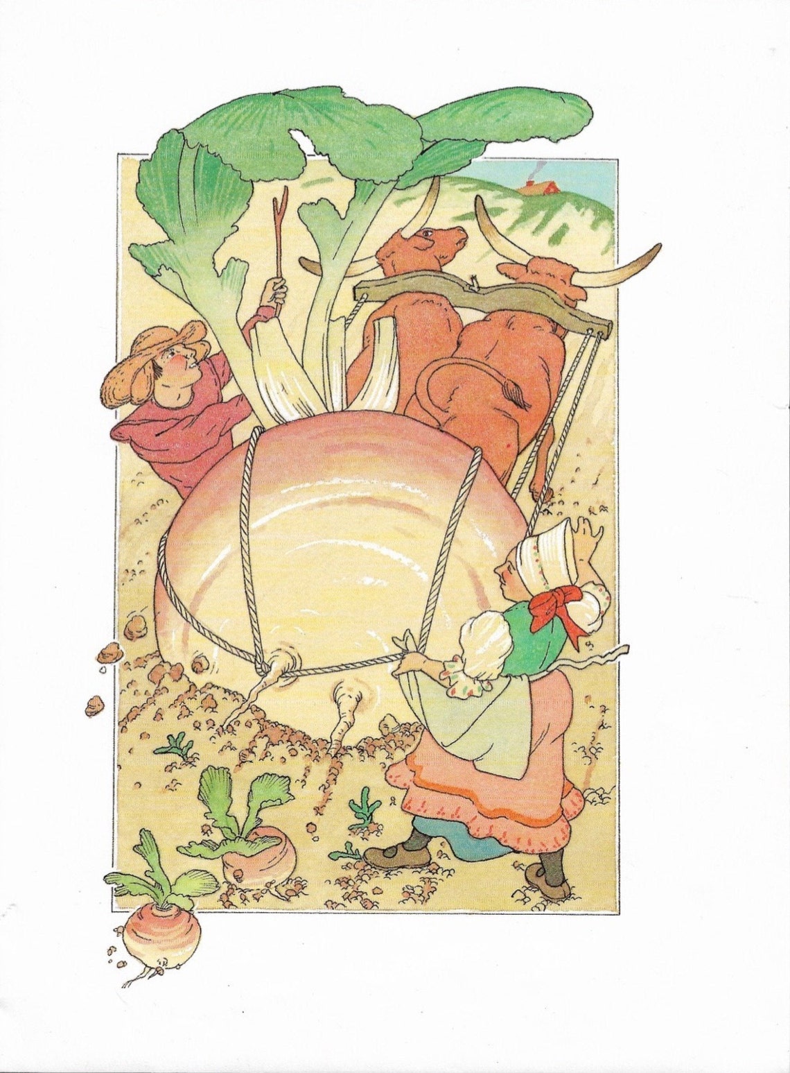 1985 the Enormous Turnip Original Print Vintage Book Etsy UK