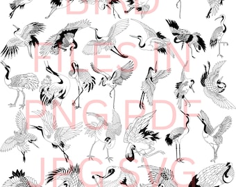 30 Bird Digital Designs