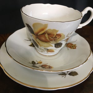 Vintage English Bone China Tea Cup & Saucer Yellow/Amber Roses, Gold Autumn Rim, Regency Grosvenor Jackson Gosling