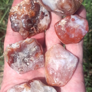 May include: A collection of six polished agate stones featuring irregular shapes and varied textures. The stones display a mix of translucent white, milky cream, and deep reddish-brown hues, with some showing visible crystalline formations and banding.