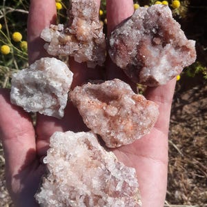 May include: A hand holding several raw, uncut crystals. The crystals vary in size and shape, with colors ranging from clear to white and reddish-brown. The crystals have a rough, textured surface.