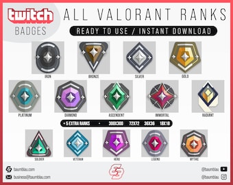 Sub-/Bit-Badges & Flares