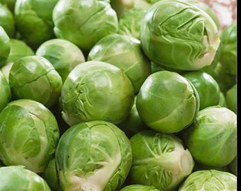 May include: A close-up shot of a pile of fresh, vibrant green Brussels sprouts. The sprouts are tightly packed together, showcasing their layered leaves and round shape. Some sprouts have exposed inner leaves, revealing a lighter green color.