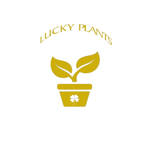 LuckyPlantsShop - Etsy