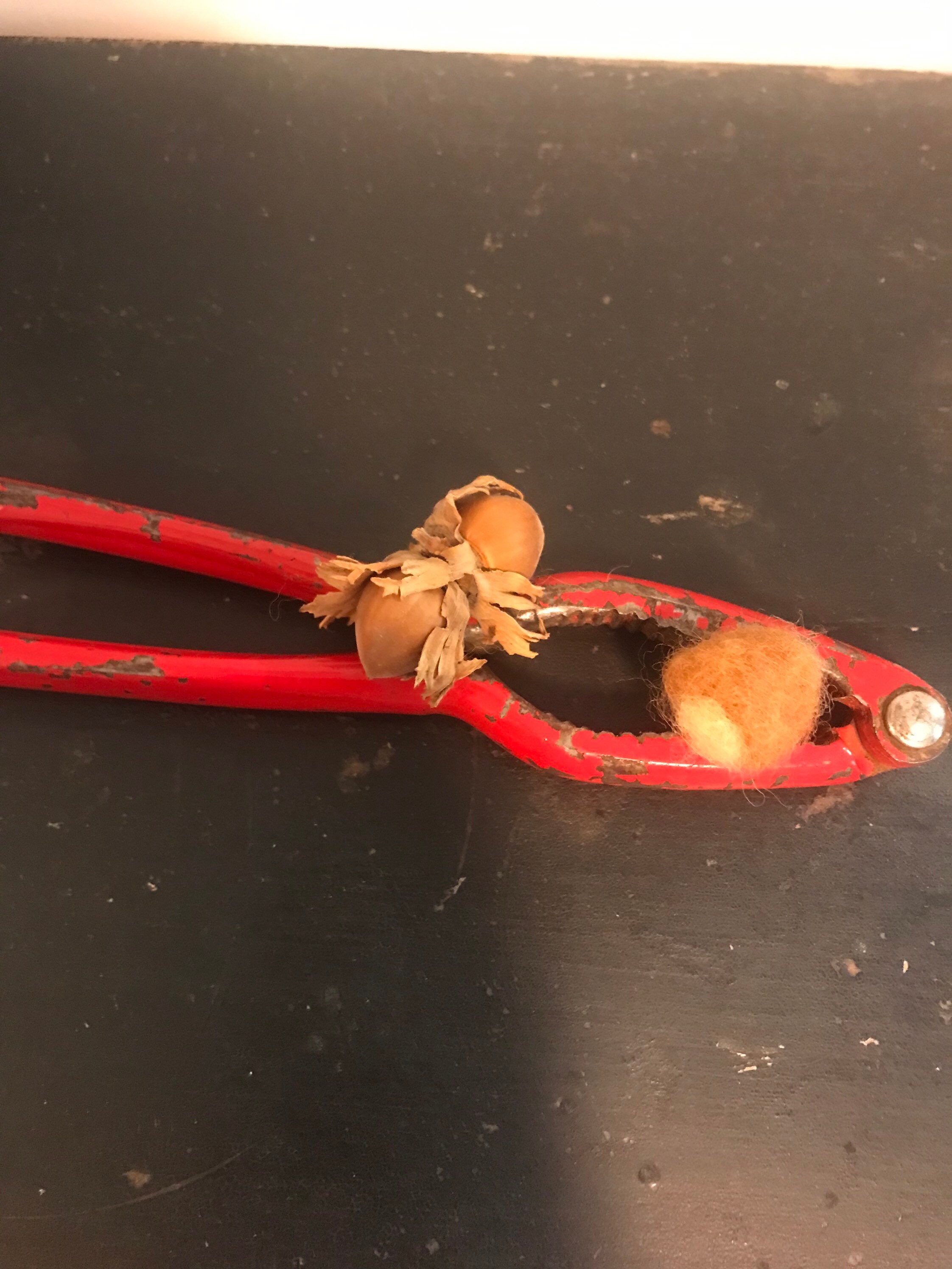 Noisette en Laine Cardée Faite à La Main