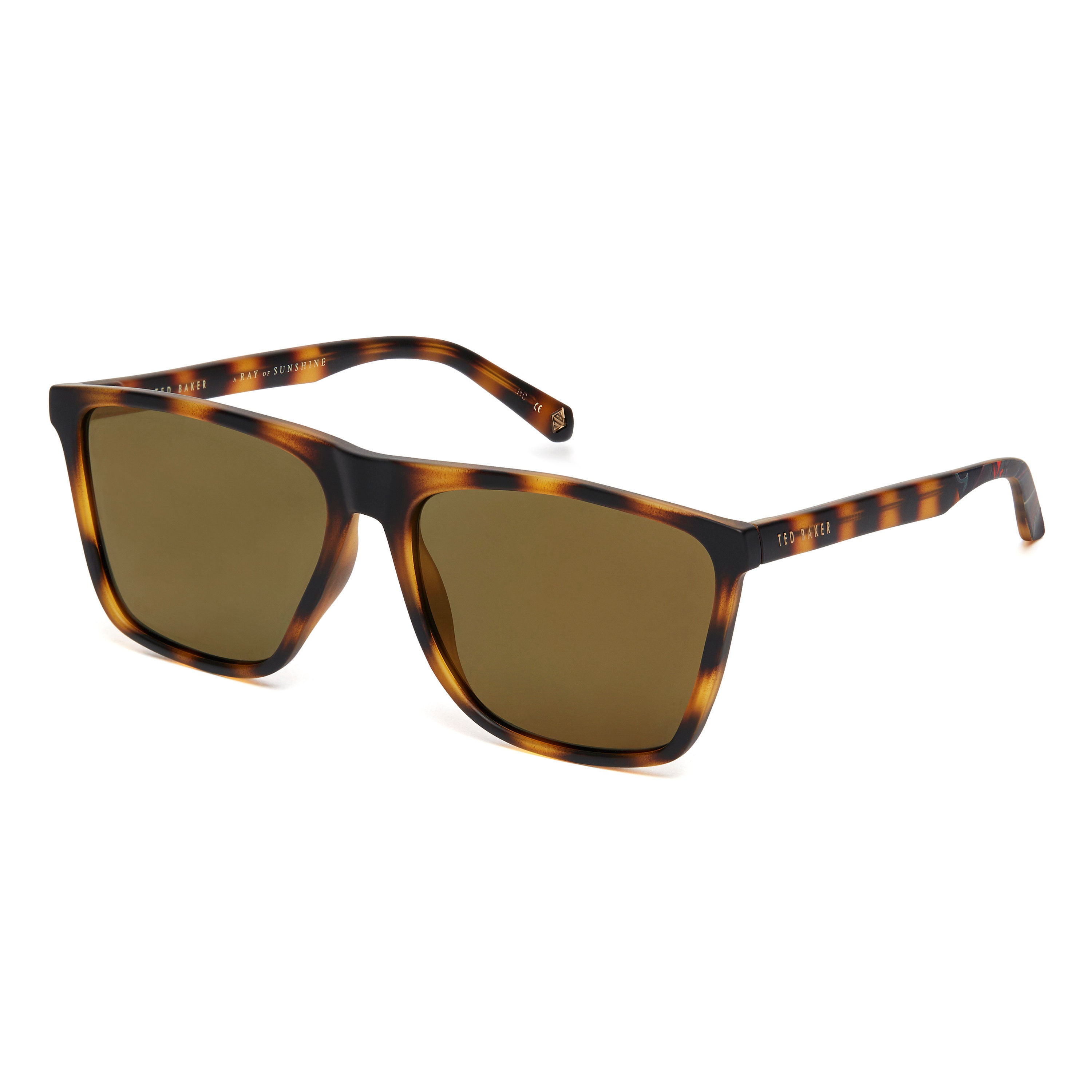 Ted baker hotsell willis sunglasses