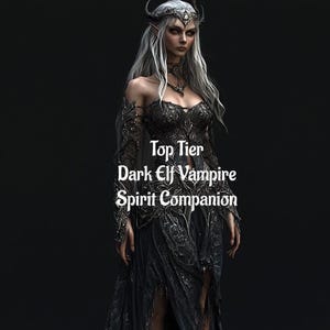 Dark Elf Vampire Spirit Companion: Top Tier (Digital Service)