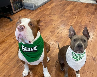 May include: Two dogs wearing bandanas with the word "Eagles" on them. The dog on the left is brown and white, and the dog on the right is gray. They are sitting on a wooden floor.
