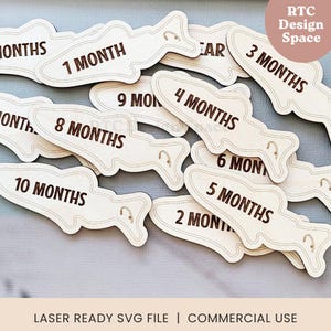 SVG Fishing Angler Monthly Milestones Baby Shower Gift Newborn Nursery Milestone Markers Descarga digital - Letrero grabado con láser