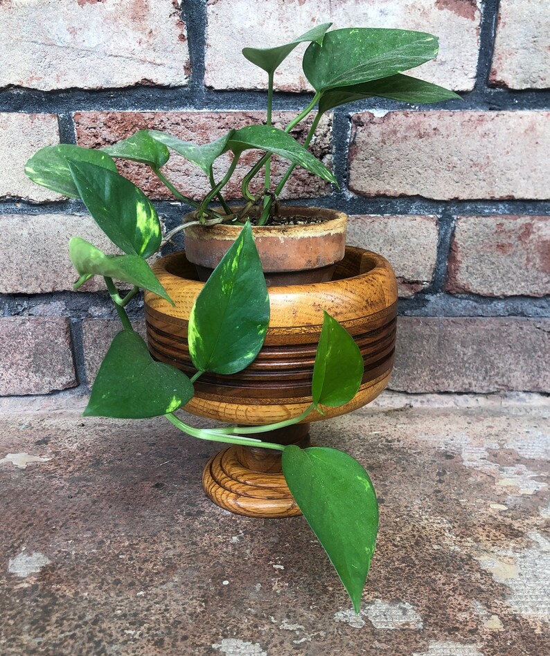 Vintage Wood Pedestal Bowl Turned Wood Display Dish Pedestal Etsy