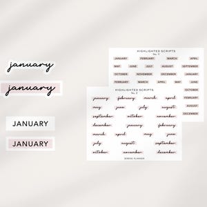 Adesivi per mese / Adesivi con script per mese / Etichette per mese / Adesivi con etichette per mese / Etichette mensili / Adesivi funzionali / Adesivi per planner