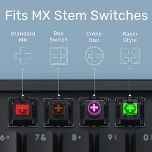 May include: A close-up of a keyboard with four MX stem switch types: Standard MX, Box Switch, Circle Box, and Razer Style. The switches are in red, brown, purple, and green. The text "Fits MX Stem Switches" is at the top of the image.