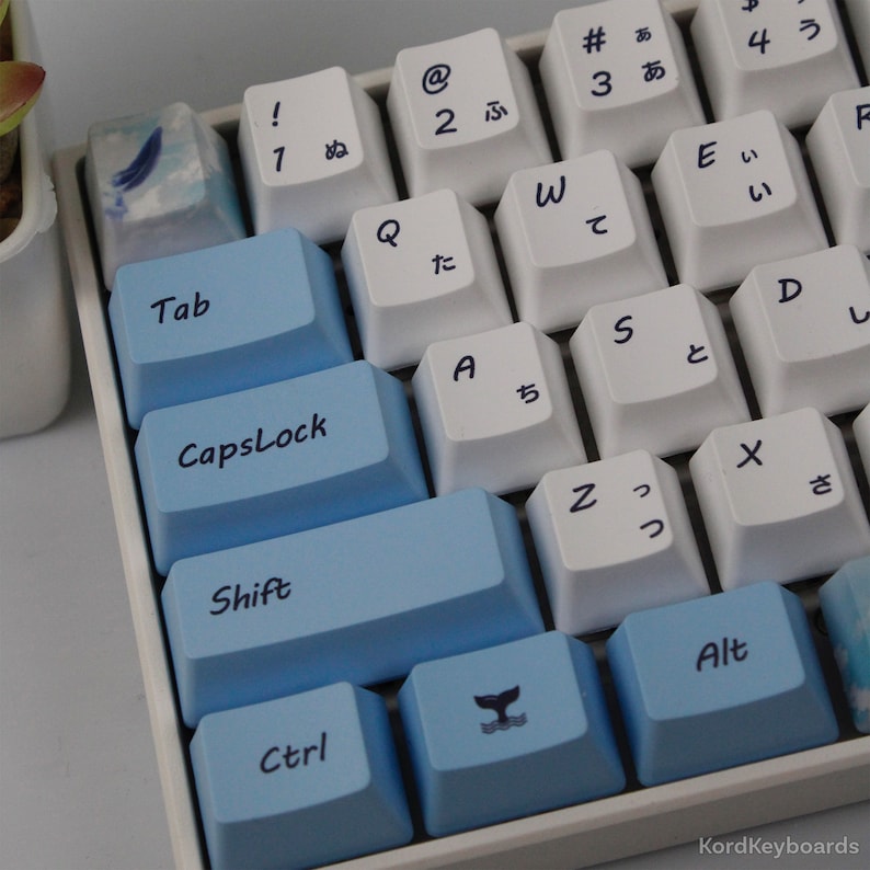 May include: Close-up of a mechanical keyboard with custom keycaps. The keyboard features a mix of white and light blue keycaps. Blue keycaps are labeled with "Tab", "CapsLock", "Shift", "Ctrl", and "Alt". Some keys have Japanese characters.