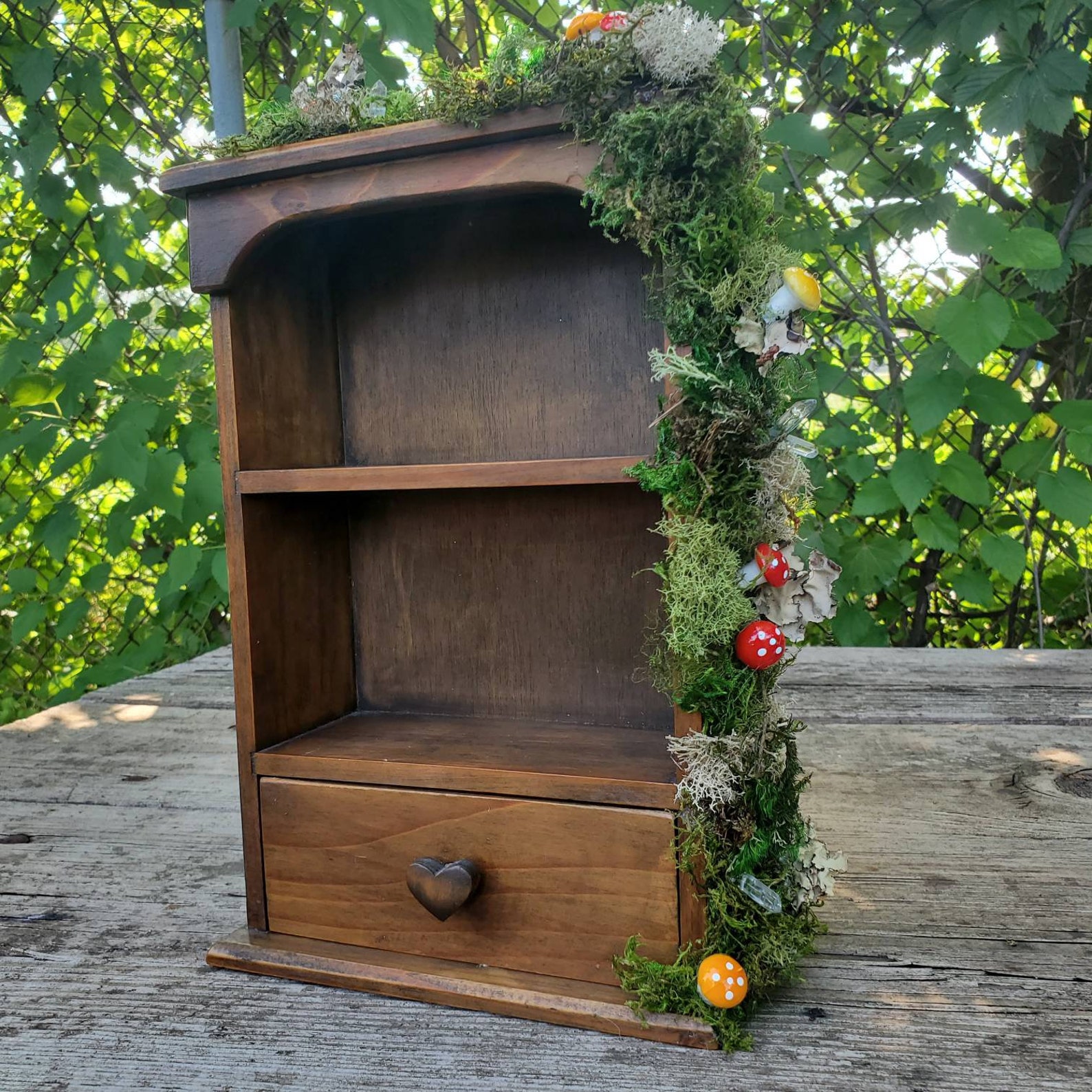 Mossy mushroom small display shelf Etsy