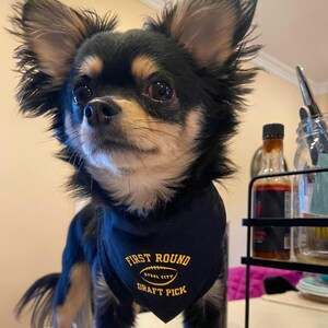 First Round Draft Pick Collar dog bandana / cute dog bandana / Football / NFL Draft/ Draft Pick /black and Gold / Pittsburgh
