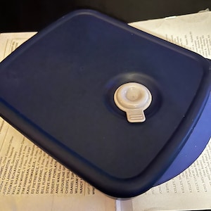 May include: A dark blue plastic container with a white lid. The lid has a small, round, white knob on top.