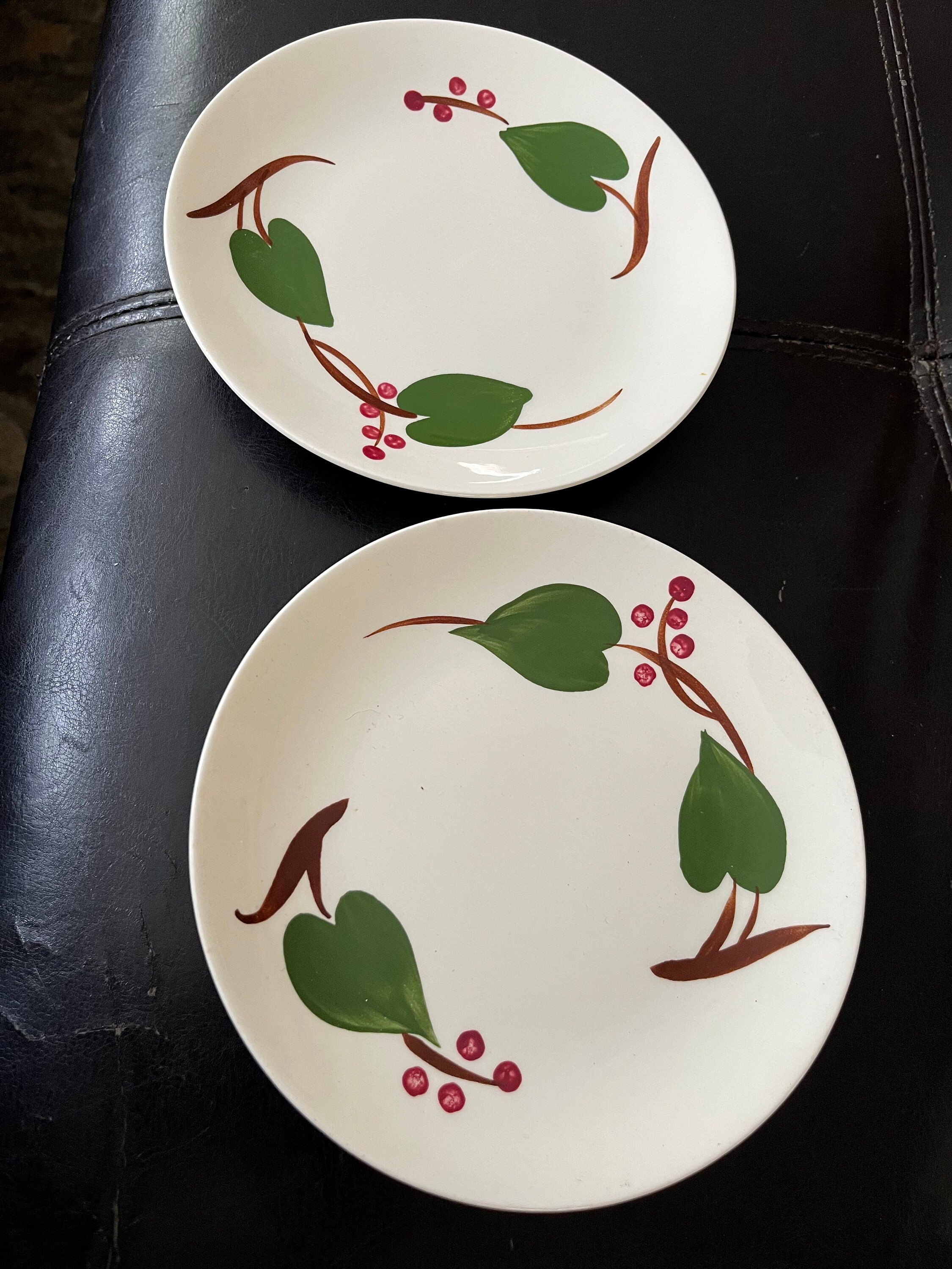 Blue Ridge Southern Pottery Hand Painted Stanhome Ivy 4-6 1/2” Bread ...