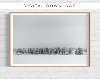 Winter Trees Photo, Winter Photography, Winter Trees Wall Art, Snowy Wall Art, Evergreen Trees in Snow Printable, DIGITAL DOWNLOAD