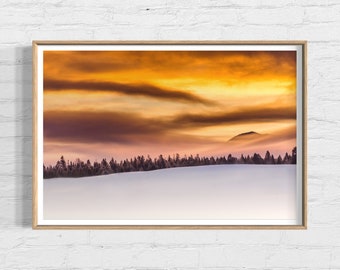 Winter Sunrise Print, Winter Photography, Snowy Trees at Sunrise, Winter Trees Wall Art
