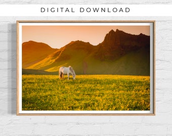 Icelandic Horse in Field Photo, Wild Horse Wall Decor, Icelandic Horse Photography, Fairytale Horse in Field, DIGITAL DOWNLOAD