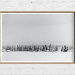 Winter Tree Photograph, Snow Wall Art, Evergreen Trees, Snowy Tree Picture,  Snow Covered Tree Branches, Dreamy Nature Photography -  Norway