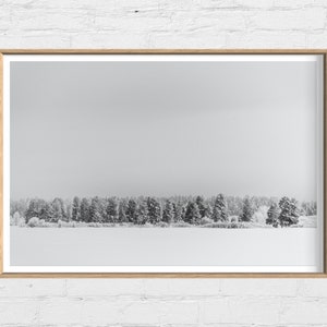 Winter Trees Photography Print, Winter Photography, Winter Trees Wall Art, Snowy Wall Art, Winter Canvas Prints, Winter Metal Prints