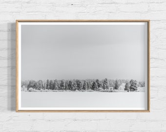 Winter Trees Photography Print, Winter Photography, Winter Trees Wall Art, Snowy Wall Art, Winter Canvas Prints, Winter Metal Prints