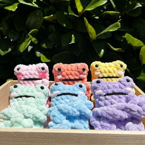 Customizable Crochet Rainbow Leggy Froggy