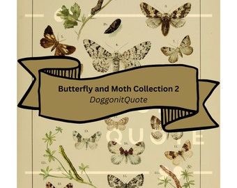 Butterfly and Moth Collection 2. Five Pages of Butterflies and Moths from 1800s Scientific Journal for Ephemera, Junk Journal, or Scrapbook