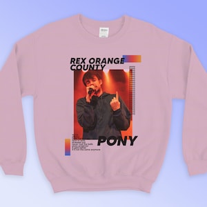 Lustiges Shirt Rex Orange County Sweatshirts PONY Sänger Promi 90er Jahre Retro Vintage Männer Frauen