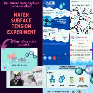Kids Science Worksheet | All About Water Experiment | Fun Science Experiment | K-3