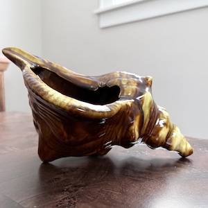 May include: A ceramic seashell planter in shades of brown and tan. The planter is shaped like a conch shell with a wide opening and textured surface. The interior is dark, and the exterior has a glossy finish.