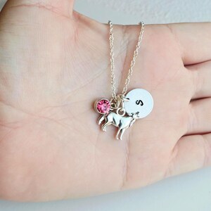 Peut inclure: Collier argent&eacute; avec un charm en forme de chien, une pierre pr&eacute;cieuse rose et un pendentif circulaire avec la lettre "S". Le charm en forme de chien est d&eacute;taill&eacute;.