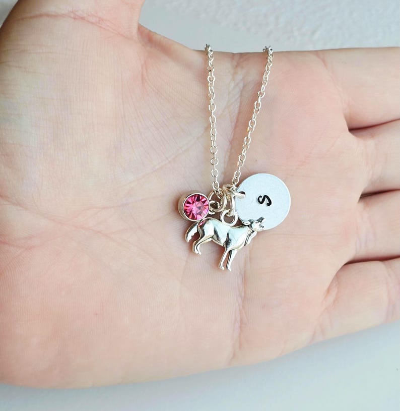 Peut inclure: Collier argent&eacute; avec un charm en forme de chien, une pierre pr&eacute;cieuse rose et un pendentif circulaire avec la lettre "S". Le charm en forme de chien est d&eacute;taill&eacute;.