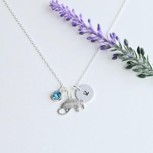 Armadillo Necklace, Armadillo Gift, Personalized Armadillo Charm Necklace, Armadillo Lover Gift, Texas State Animal, Necklace for Girls