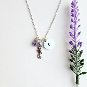 Sea horse Necklace-Sea horse Jewelry-Initial and Birthstone Necklace-Sea Horse Charm Necklace-Ocean Themed Gift