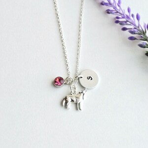 Peut inclure: Collier argent&eacute; avec un charm loup hurlant, une pierre rose et un pendentif circulaire avec la lettre "S". Le collier est pr&eacute;sent&eacute; sur un fond blanc avec une branche de fleurs violettes.