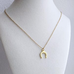 Horseshoe Necklace-Good Luck Charm Necklace-Horseshoe Gift-Necklace for Girls-Birthday Gift for Women