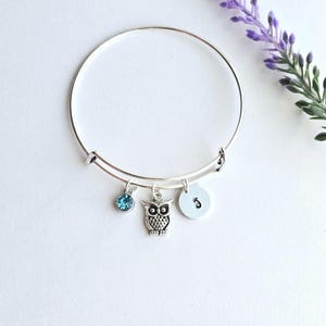 May include: A silver expandable bangle bracelet with a silver owl charm, a blue crystal charm, and a silver charm with the letter "S" on it.