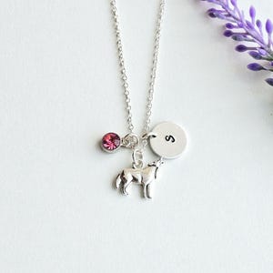 Peut inclure: Un collier argent&eacute; avec un pendentif loup hurlant, une pierre pr&eacute;cieuse rose et un charme circulaire avec la lettre "S". Le collier est suspendu &agrave; une cha&icirc;ne argent&eacute;e. Une branche de fleurs violettes est en arri&egrave;re-plan.
