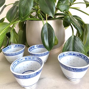 May include: Four white porcelain tea cups with blue geometric patterns and a dotted design. The cups are arranged in front of a potted plant with large green leaves. The cups have a classic Asian-inspired design.