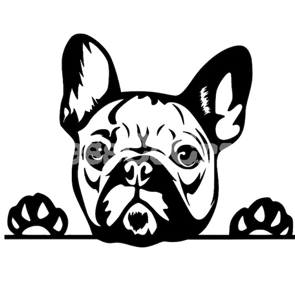 Frenchie svg, french bulldog svg, frechie car decal svg, french bulldog instant, french bulldog, digital download, Frenchie peaking svg file