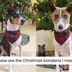 Op de afbeelding: Twee honden dragen rode en zwarte geruite kerstbandanas. De honden zitten voor een kerstboom.